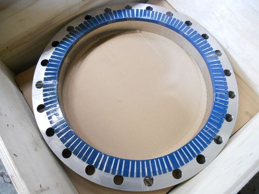 Petrochemical Pipeline Large Flange Stainless Steel Flanges F22 F6a B16.47